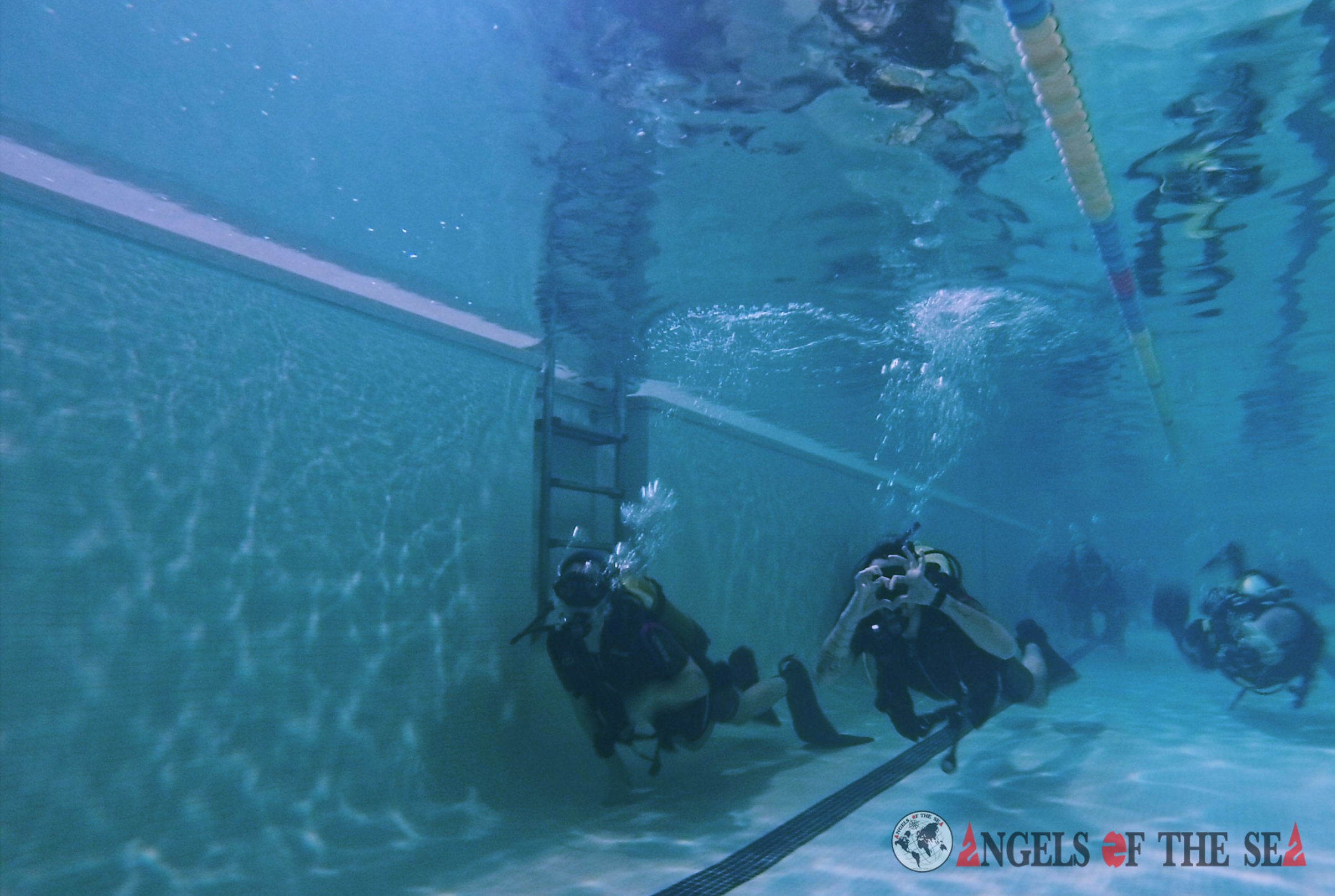 Bautismo de buceo con Angels Of The Sea