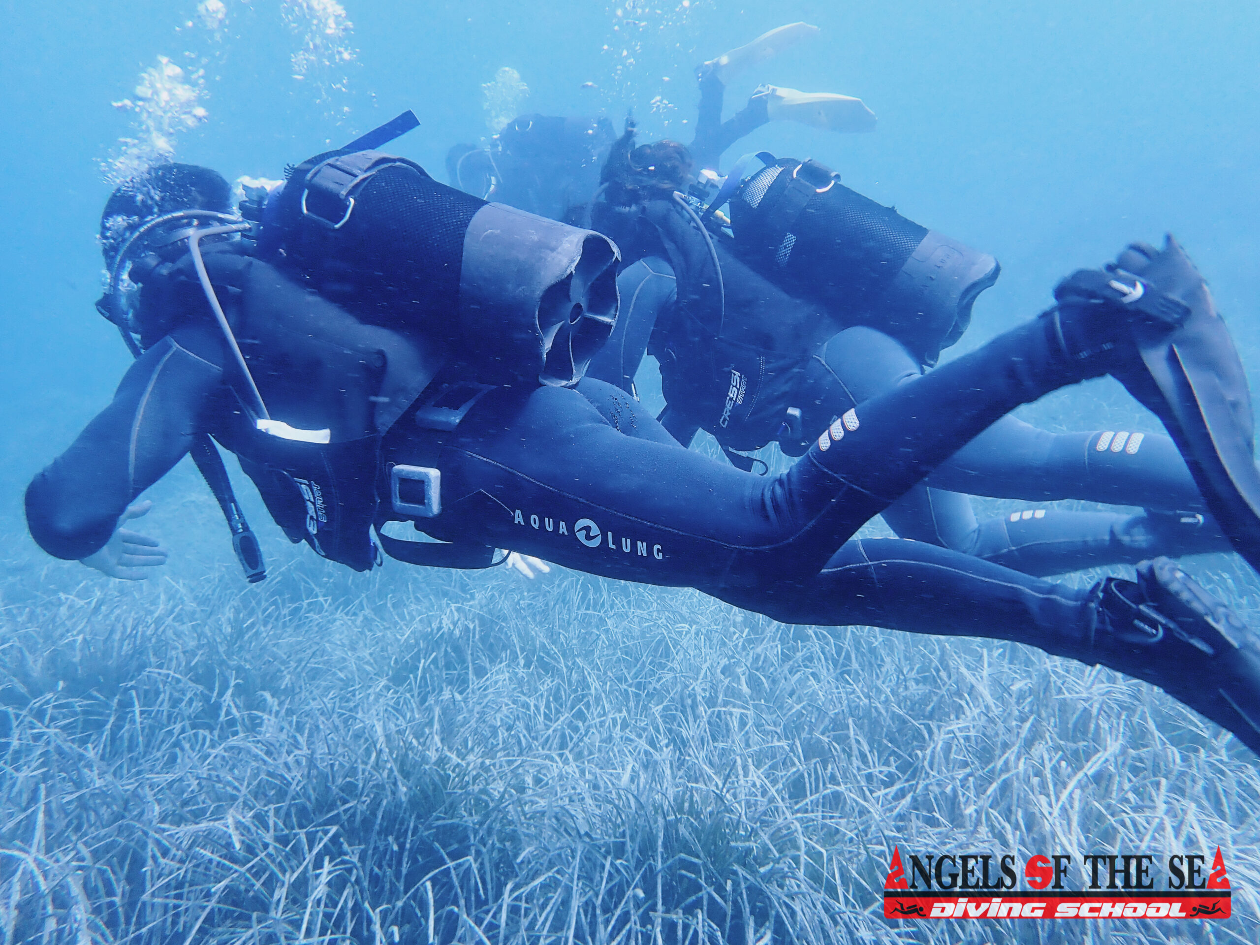 Instructores y alumnos durante una actividad de Angels Of The Sea