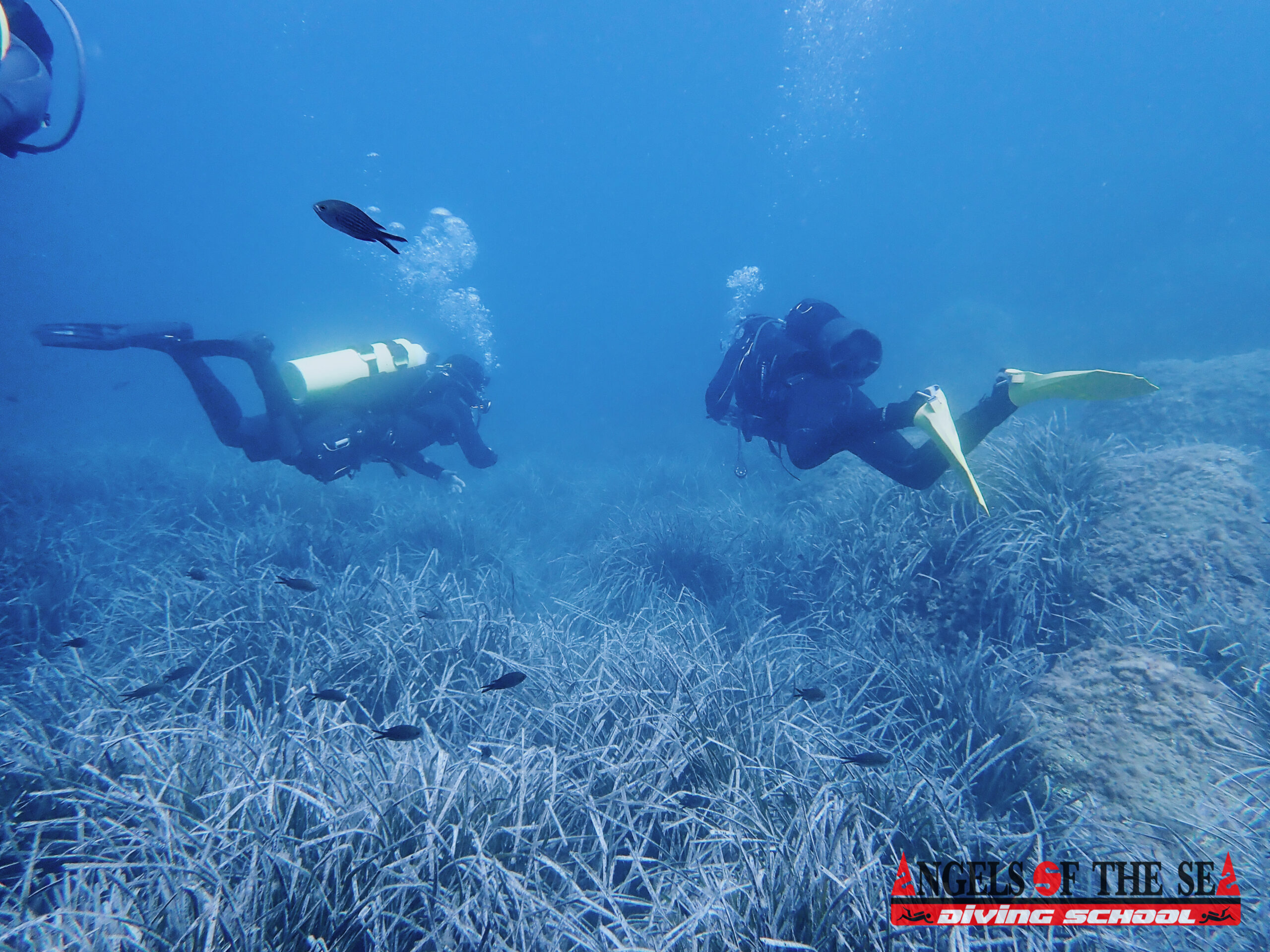 Vídeo de Angels Of The Sea