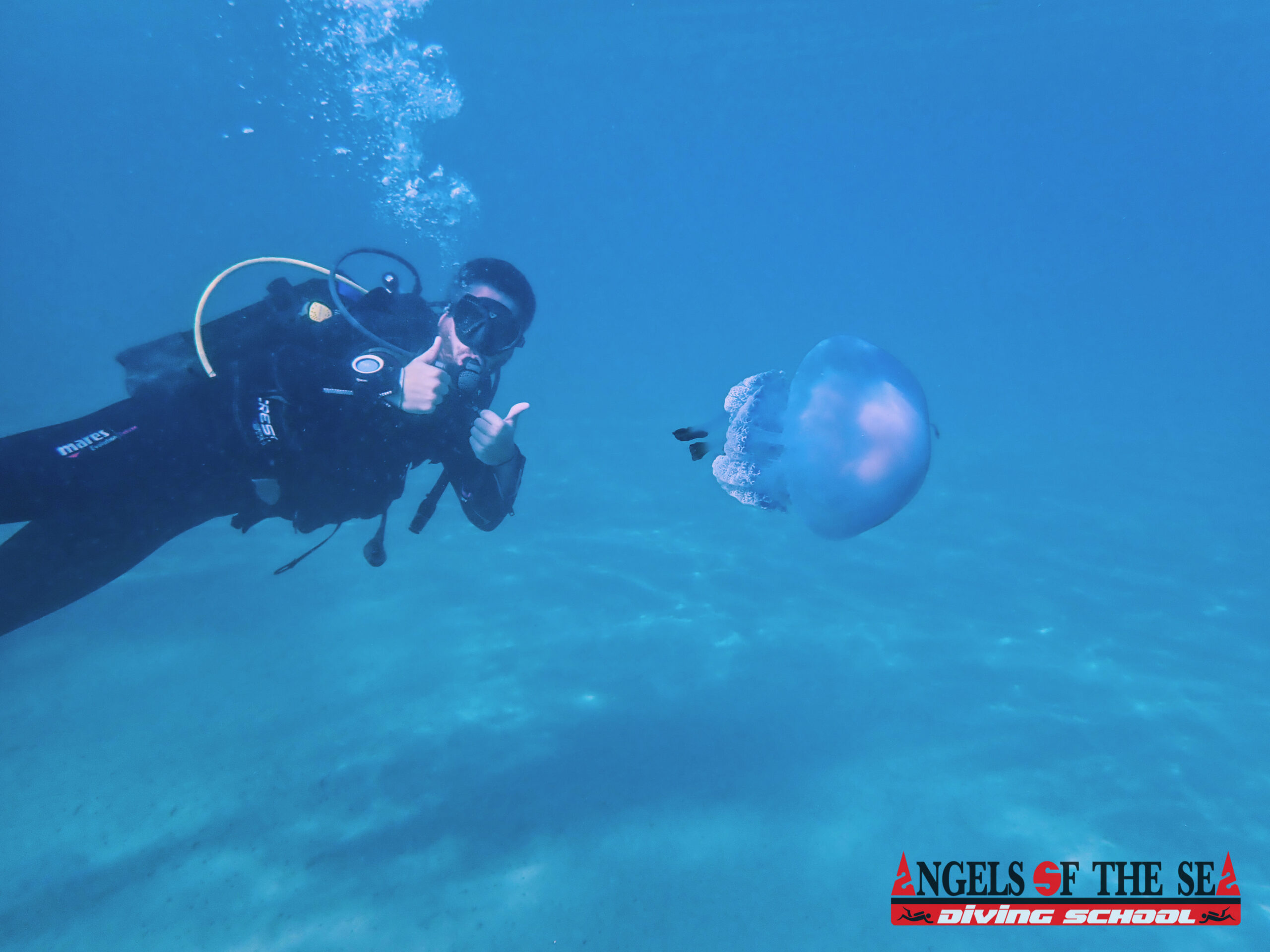 Actividad de formación de Angels Of The Sea